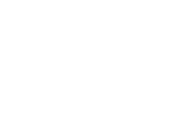 Aureon Imports and Exports (Pvt) Ltd